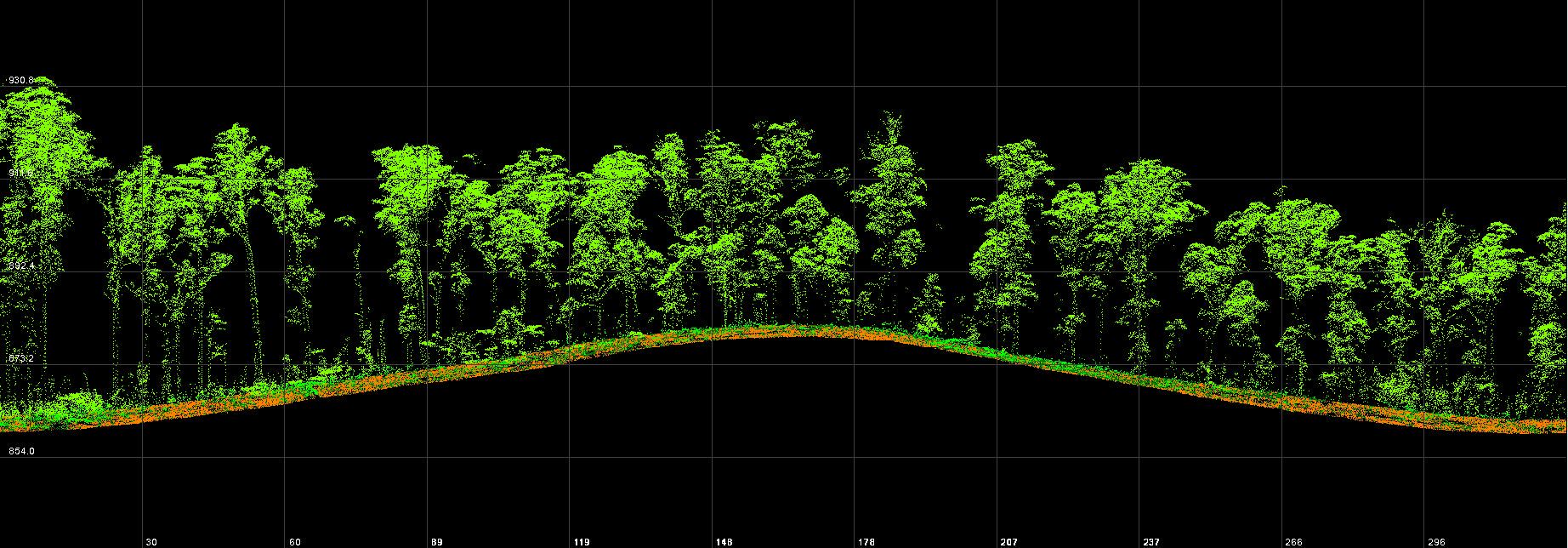 A point cloud profile view of a section of forest in East Gippsland. The trees are shaded in green, the ground in browns and greens, and black for negative space around the natural features.