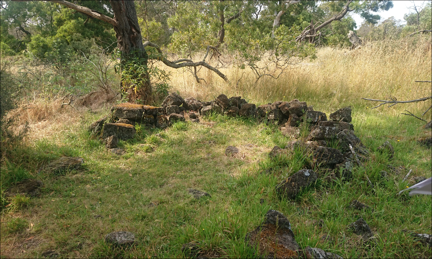 A photograph of the stone remnants of two huts in amongst grassland with trees in the background. The huts are both round in shape with an opening on one side,