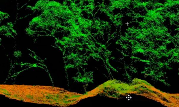 A LiDAR image of Budj Bim forest canopy and ground surface. The canopy is represented in greens and ground surface levels in browns.