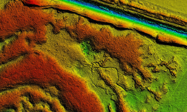 An aerial LiDAR image representing dense woodland. Colour is used to represent height, with red representing the highest points of the canopy, through shades of yellow, green and finally blue representing the lowest points of the terrain.