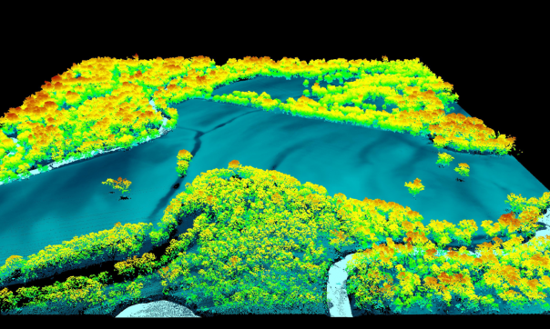 A 3D LiDAR image looking diagonally down over an area of land, with a black background around the cross-section. Tree coverage appears with shades of red on the highest points through shades of orange, yellow and then greens to depict lower and lower points. The bottom of waterways are the lowest, or deepest, points on the map and the spectrum of colours continues to move through from greens to aquas, teals and blues, ending in a deep blue. The main river is quite deep, with channels and banks visible in deeper rivulets through the riverbed. Smaller waterways off the main channel of water are a much brighter blue as they feed down towards the main water source.