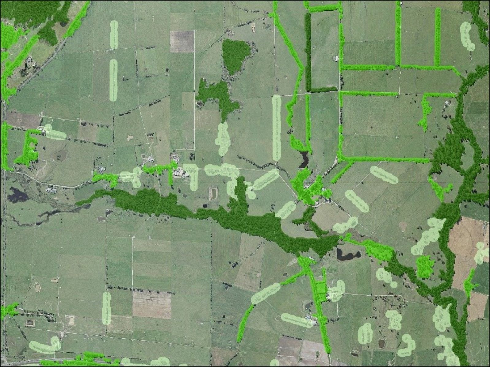 An aerial photograph, showing green paddocks, roads and areas of trees with the Vicmap Vegetation Tree Density dataset overlayed.