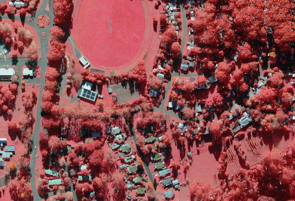 A point-cloud colourised image of Walhalla taken from above. Roads and man-made structures are displayed in shades of grey, and trees, grass and shrubbery in shades of red. The image shows a large, open field at the top, with streets circling the field and radiating out. Houses are dotted across the image, as well as trees along the streets and in the yards of houses.