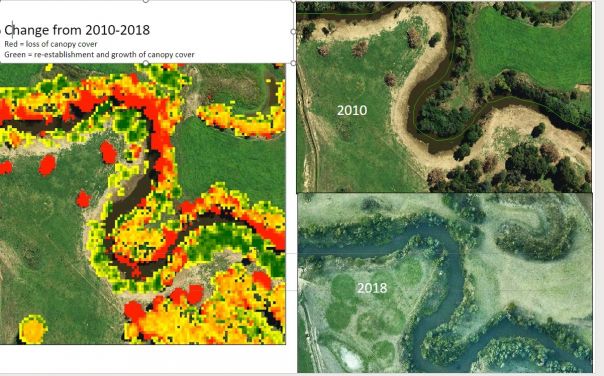 The image is split in half vertically. On the right hand side, there are two aerial images taken of the same section of river in 2010 on top, and 2018 on the bottom. On the left hand side, an analysis with areas of red, green and yellow shaded show the change in canopy cover, with red representing loss of canopy cover, and colours closer to green representing growth and reestablishment of canopy cover.
