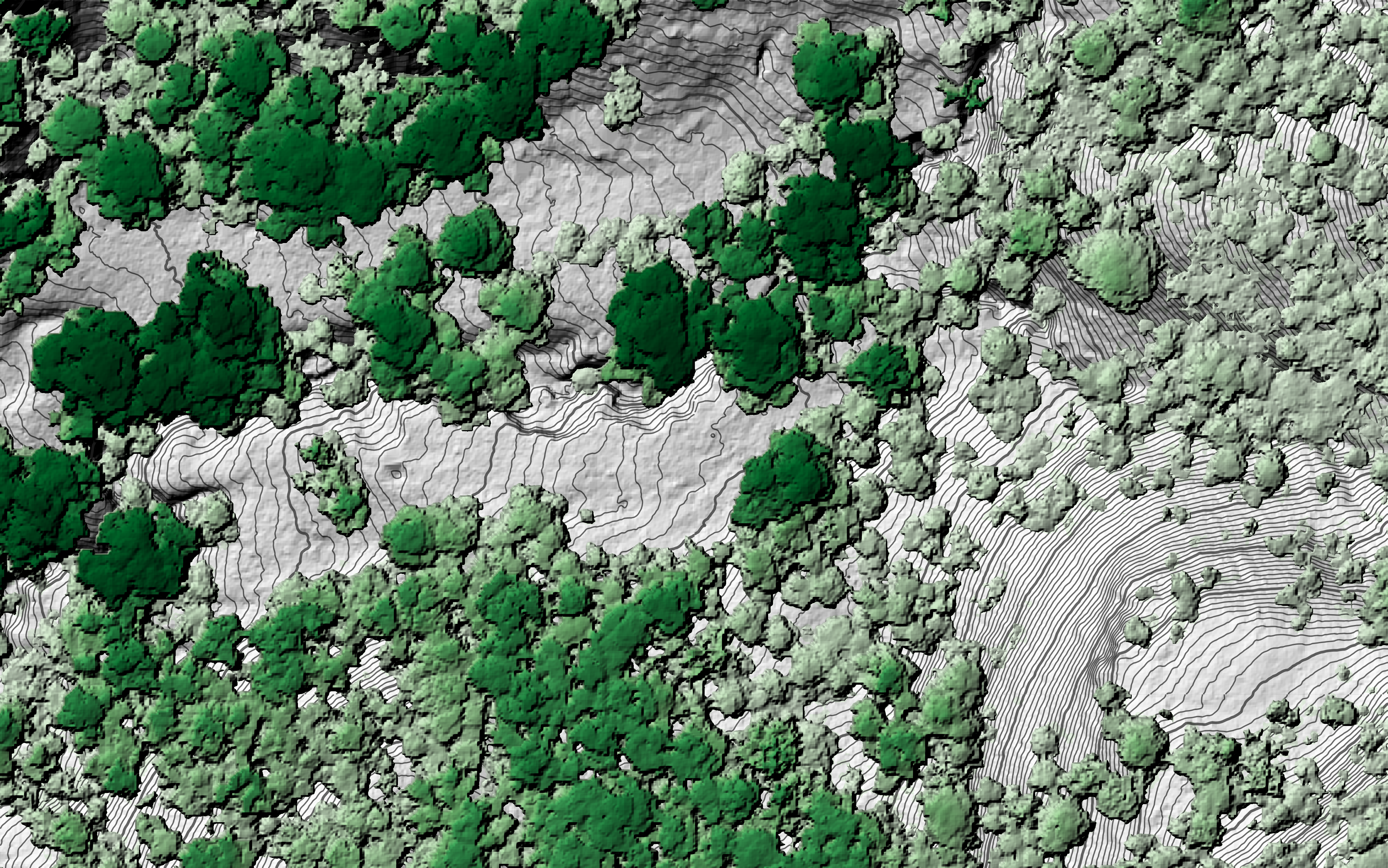 Canopy coverage is visualised in different shades of green to indicate canopy height of trees dotted across the image. The contours of the ground underneath are shaded in grey with lines drawn on the side of slopes representing the contours and height of the land.