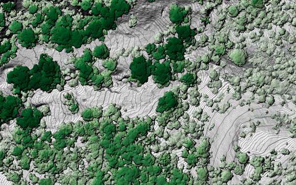 Canopy coverage is visualised in different shades of green to indicate canopy height. The contours of the ground underneath are shaded in grey with lines drawn on the side of slopes representing the contours and height of the land.